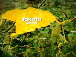 Federal Government Pledges Support For Livestock, Lays Foundation For Service Centre In Sokoto