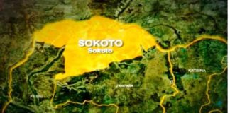 Federal Government Pledges Support For Livestock, Lays Foundation For Service Centre In Sokoto