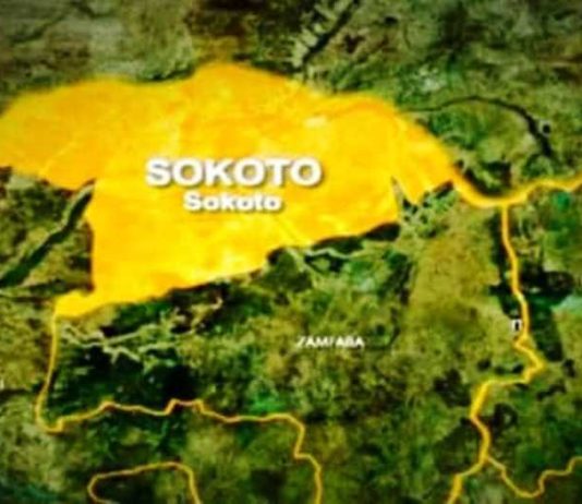 Federal Government Pledges Support For Livestock, Lays Foundation For Service Centre In Sokoto