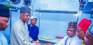 Gombe Targets Statewide Animal Health Coverage with 200,000 Vaccine Doses