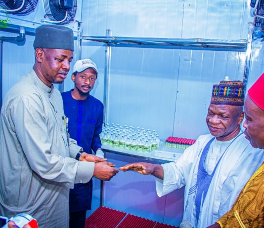 Gombe Targets Statewide Animal Health Coverage with 200,000 Vaccine Doses