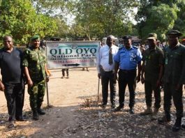 Update on the Bandit Attacks in Oyo Seven Suspects Now Arrested Over the Deadly Attack On Old Oyo National Park