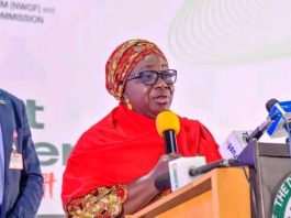 Deputy Governor of Kaduna State, Her Excellency Dr. Hadiza Sabuwa Balarabe