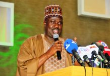 Minister of State for Agriculture and Food Security, Sen. Dr. Aliyu Sabi Abdullahi