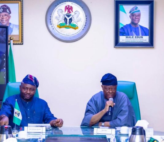 Wale Edun Drives Nigeria’s Energy Push For Economic Growth