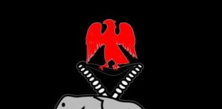 Police in Oyo State Foils Bandit Attack, Neutralises Two Suspects