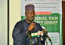 The Minister of State for Agriculture and Food Security, Sen Dr Aliyu Sabi Abdullahi, during the National Yam summit.