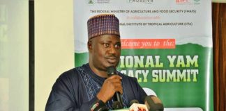 The Minister of State for Agriculture and Food Security, Sen Dr Aliyu Sabi Abdullahi, during the National Yam summit.