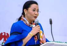 FG Targets 12% Annual Growth To Hit $1 Trillion Economy Landmark – Uzoka-Anite FG Targets 12% Annual Growth To Hit $1 Trillion Economy Landmark – Uzoka-Anite