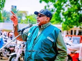 FG’s VCDP will alleviate farmers suffering, stabilize food prices – Agric Minister