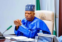 Vice President Kashim Shettima