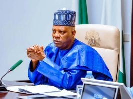 Vice President Kashim Shettima