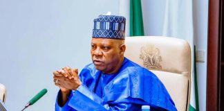 Vice President Kashim Shettima