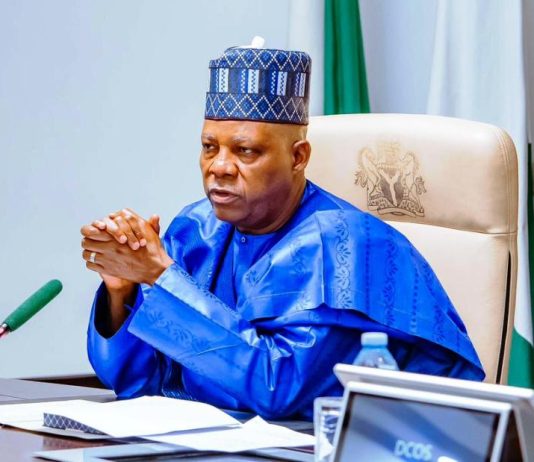 Vice President Kashim Shettima