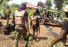Army Intercepts 296 Bundles Of Suspected Cannabis In Ogun
