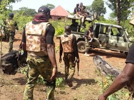 Army Intercepts 296 Bundles Of Suspected Cannabis In Ogun