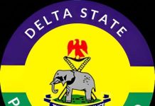 Police Constable Recruitment: Delta State Police Command Announce Dates For Screening Exercise