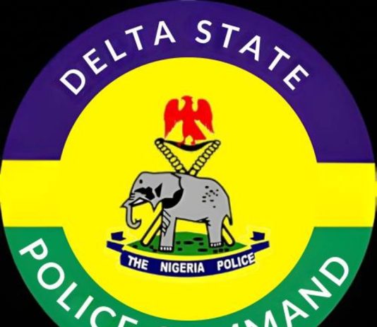 Delta State Police Command Logo