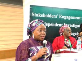 Permanent Secretary of the Ministry and Chairperson of the Special Investigative Panel, Dr. Magdalene Ajani