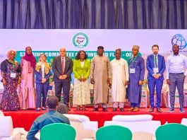 FG, World Bank Launch SPIN Project to Boost Irrigation, Power, and Food Security in Nigeria