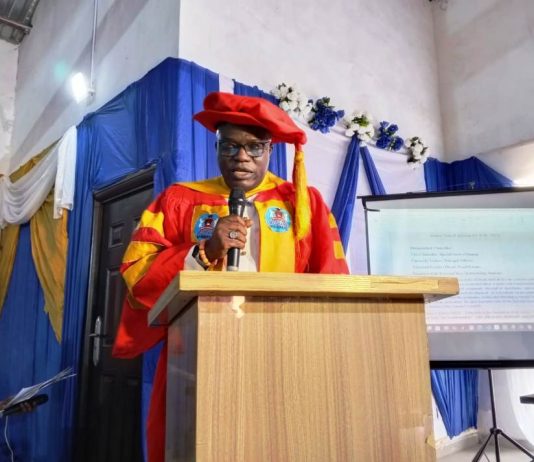 Japa Syndrome: FG Raises Lecturers’ Salaries by 40% to Tackle Brain Drain — Imasuen