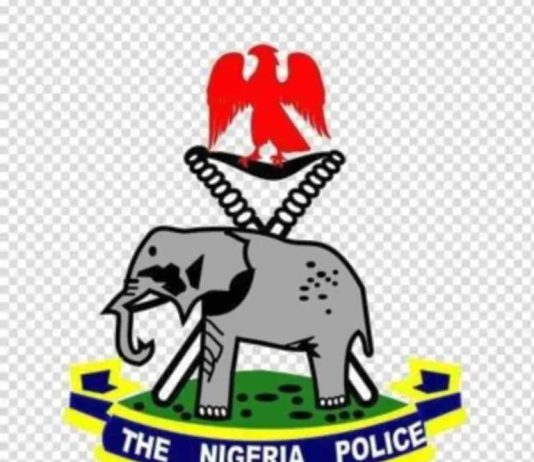 352 Promoted Police officers Decorated In Enugu