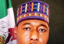 Borno State Governor, Professor Babagana Umara Zulum