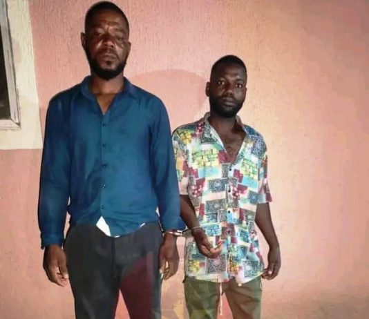 Troops Of 6 Brigade Arrest Suspected Gunrunners, Recover 444 Rounds Of Ammunition In Taraba