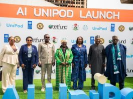 VP Shettima Nigeria, Well Positioned To Lead