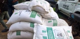 Sabotage: Nigeria Police Burst Saboteurs of the FG Palliative Programme, Recover Stolen 500 Bags of Maize in Oyo State