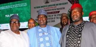 FG Holds Validation Meeting To Drive Oil Palm Transformation In Nigeria