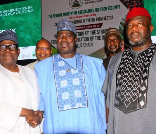 FG Holds Validation Meeting To Drive Oil Palm Transformation In Nigeria