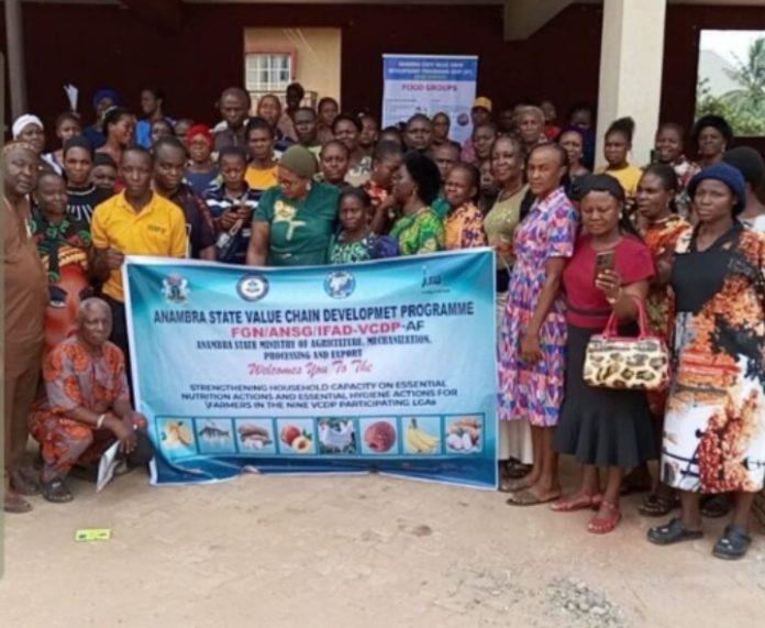 IMG-20260415-WA0079 Federal Government Partners IFAD-VCDP To Train Women And Youths In Anambra
