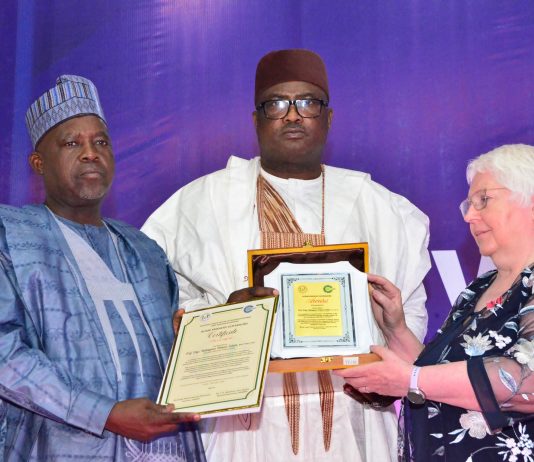 Zulum bags Nurse-Friendly Governor Award at Commonwealth Nurses Conference