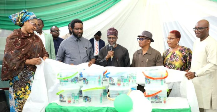 Balarabe Launches Environmentally Sound Management Of  Small-Sized Waste Batteries In Abuja
