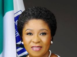 Mrs. Didi Esther Walson-Jack, OON, mni - Head of the Civil Service of the Federation