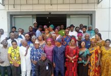 Nigeria’s Sesame Industry Holds Strong Export Potential — Expert