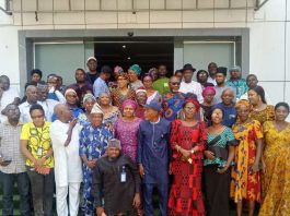 Nigeria’s Sesame Industry Holds Strong Export Potential — Expert