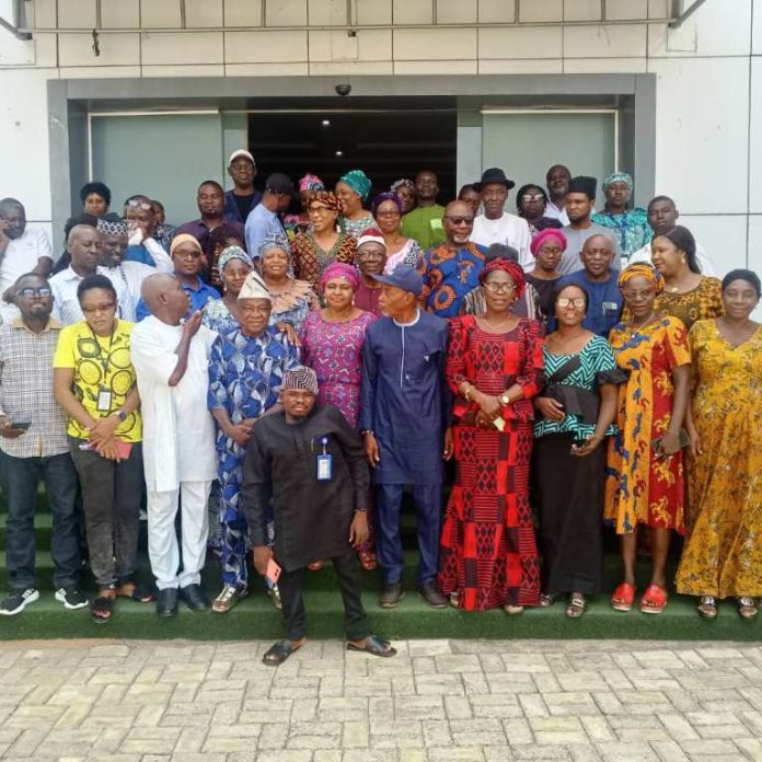 Nigeria’s Sesame Industry Holds Strong Export Potential — Expert