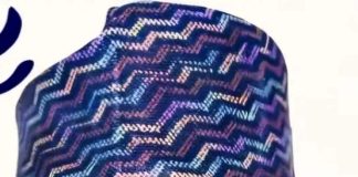 Kaduna State Governor, His Excellency, Uba Sani