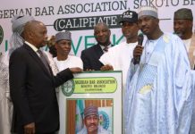 Hails Tinubu's Exceptional Leadership Skills