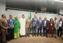 Tinubu reforms shift Nigeria from fragility to growth as global pressures mount