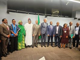 Tinubu reforms shift Nigeria from fragility to growth as global pressures mount