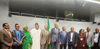 Tinubu reforms shift Nigeria from fragility to growth as global pressures mount