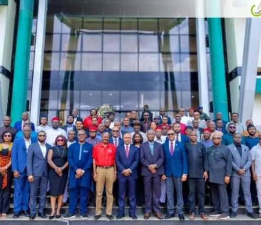 Enugu Targets 660MW Coal-Fired Power Plant
