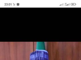 Borno State Governor, Professor Babagana Umara Zulum