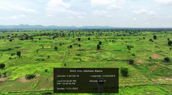 From Degraded Lands to Resilient Futures: Nigeria’s ACReSAL Project Delivers Landmark Mid-Term Climate and Livelihood Gains