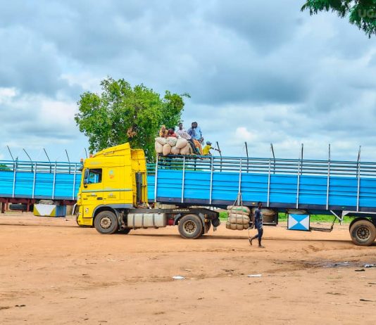 Kogi Government Begins Clearance of Illegal Trailer Park, Arrests Suspects in Abobo