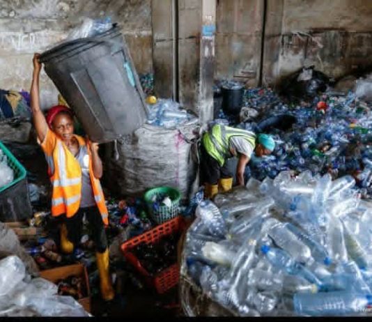Soludo Administration Deepens Environmental Reforms As Anambra Marks World Environment Day