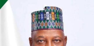 Vice President of Nigeria, Senator Kashim Shettima